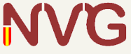 NVG Internacional - Asesoría Internacional
